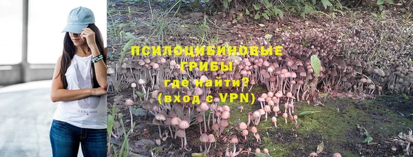 стаф Алексеевка