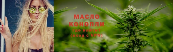 мет Алексин