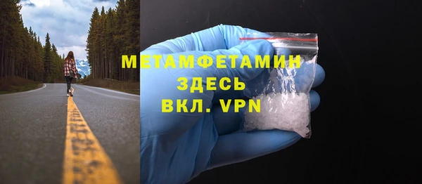 мет Алексин