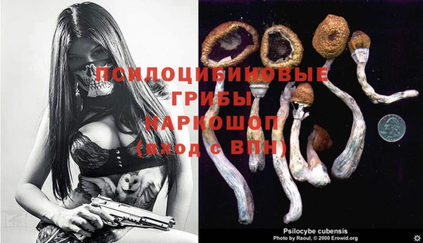 каннабис Алзамай