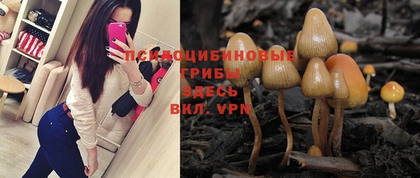 каннабис Алзамай